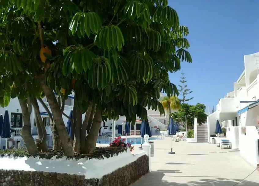 Apartamento Porto Royale Los Cristianos  Exterior foto